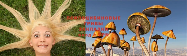 СК Волосово