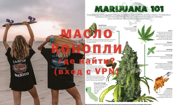 таблы Бородино