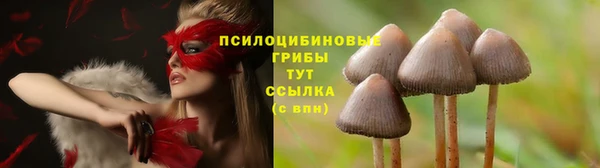 a pvp Вяземский