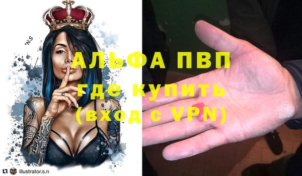гашик Вязьма