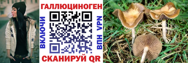Галлюциногенные грибы GOLDEN TEACHER  Духовщина 